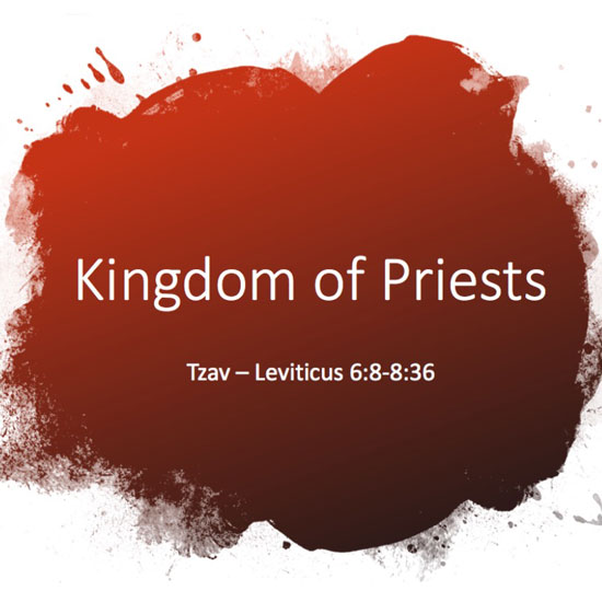 Reino de sacerdotes título de la diapositiva
