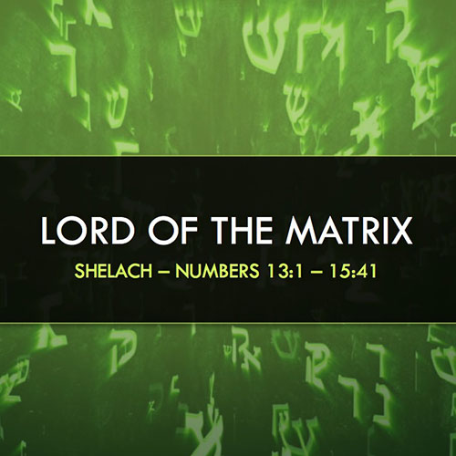 Shelach - Lord of the Matrix title