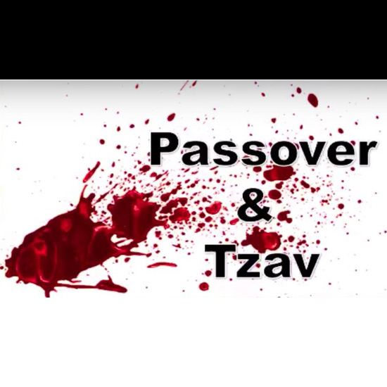 Passover and Tsav title